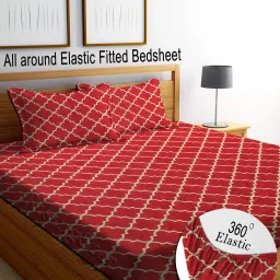 350 TC Cotton Double Striped Fitted (Elastic) Bedsheet-21