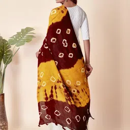 EBADAT Printed Multi Cotton Dupatta image 3