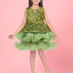 BAESD Net Fit & Flare Dress-image-93