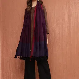 Fabindia Women Woven Design Shawl-56