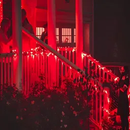 KAVYARA Red Rice Shape 54 LED String Light image 4