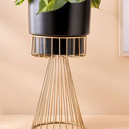 Home Centre Gloria Black & Gold-Toned Metal Wire Conical Planter-image-50