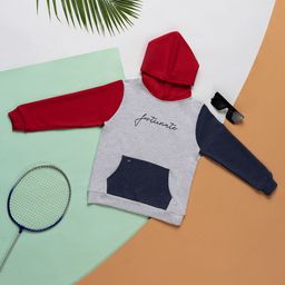 Purple United Kids Boys Colourblocked Hooded Cotton Sweatshirt-image-70