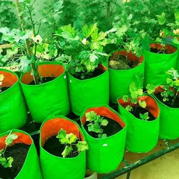 Grow Bags for Gardening Vegetables Herbs & Flowers Planter Bags-53