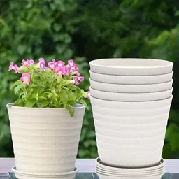 eha Off-White 6 Pieces Planters With Buttom Trays-image-28