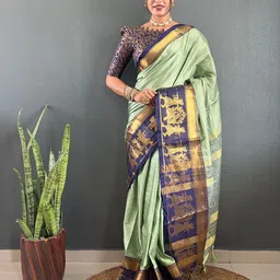 Panzora Woven Design Zari Saree-image-63