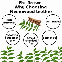 pikipoo Neem Wood Teethers for Baby Set of 2 | for 3 Months Baby | Two Dumbbell Teether image 4