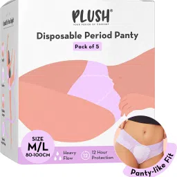 Seamless Disposable Period Panty- Rash Free Sanitary Pad-image-57