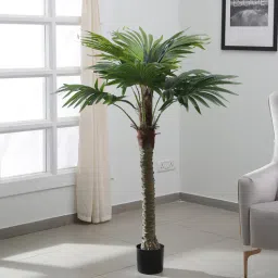 arick decor Pachira Green Plastic Artificial Plant-picture-5