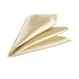 VOICI Men Cream Color Solid Pocket Square Coat Hanky-image-27
