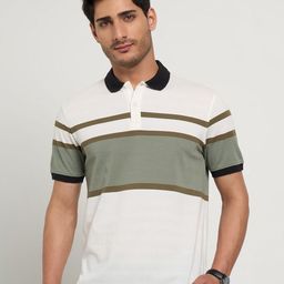 Peregrine by Pantaloons Men Striped Polo Collar Cotton Slim Fit T-shirt-picture-16