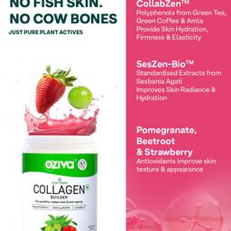 OZiva Set Of 2 Plant Based Classic Tangy Amla Collagen Builder With Biotin - 200 g Each image 3