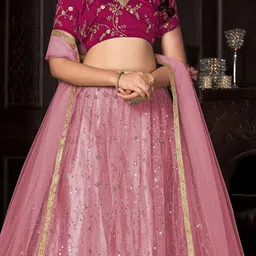 Warthy Ent Embroidered Sequinned Net Semi-Stitched Lehenga & Unstitched Blouse & Dupatta image 2