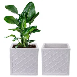 Kuber Industries 2-Pcs White Fresh TexturedPlanters-45