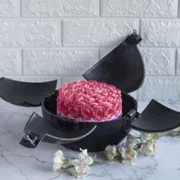 Plastic Cake Server-20