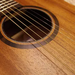 mocking bird Ukulele String Set with Capo &Picks for Soprano, Concert, Tenor,1-A,2-E,3-C,4-G Concert Ukelele Strings image 2