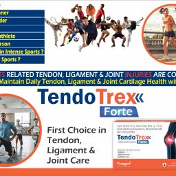 trexgen TENDOTREX FORTE Tendon Joint LigamentCollagen Peptides I Chondroitin HA Arginine image 5
