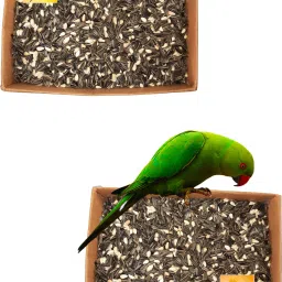 Bird Food karada + sunflower mix 1.8 kg 1.8 kg (2x0.9 kg) Dry Adult Bird Food-image-16