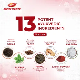dabur red Red Toothpaste-Special Edition Pack - 250gx3, Ayurvedic Paste Toothpaste image 4