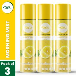 Air Freshner Room Spray Morning Mist Flavour (Pack of 3) Spray-image-48