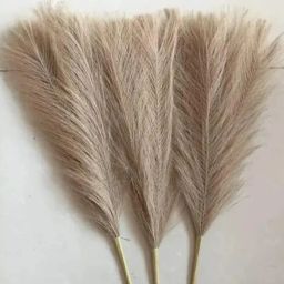3 Pcs Artificial Dried Pampas Grass For Wedding, Home Decoration - (Light brown) Brown Dried Sticks Artificial Flower-image-2