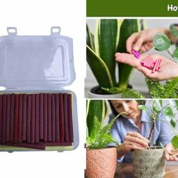 Magic Sticks for Indoor & Outdoor Plant Growth Fertilizer-image-52
