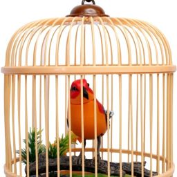 CHIPPRING BIRD TOY-17