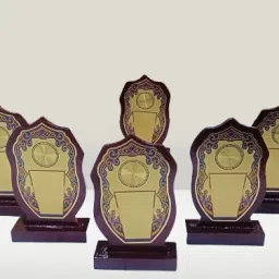 Wooden Momento Single Star 7 INCH OR 17.50 CM Size (Set Of 10 )Pcs Trophy-24