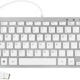 LAPCARE D-PLUS Wired USB Multi-device Keyboard (White) Wired USB Tenkeyless Desktop Keyboard Compatible with Desktop, Laptop, Mac Easy to Use,Plug and Play,Quick, Comfy Durable body image 2