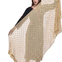 Chiffon Embroidered Gold Women Dupatta-image-108