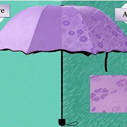 zuru bunch Magic Umbrella Change Design when touches water/New Fancy-stylish Umbrella/Compact size, 3 fold, Lightweight, UV Proof, Can be use in Sunny And Rain Season - Color As Per Availability image 5