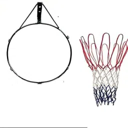 Basketball Ring-picture-31