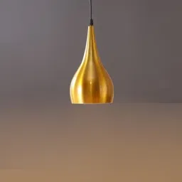 Pendants Ceiling Lamp-picture-1