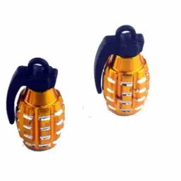 Plastic Tyre Valve Cap for Car-image-18