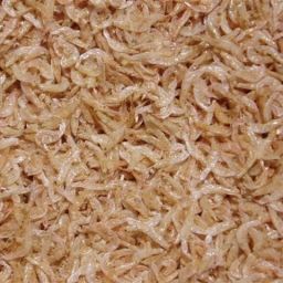 Aquarium Fish Food Dry Shrimp, 100gm very small size 0.1 kg Dry Adult, New Born, Senior, Young Fish Food-picture-27