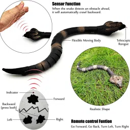 kiditos Realistic Remote Control Snake Toy Fast Moving Egg-Shaped Infrared RC Controller image 2