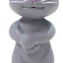 T256 TOM CAT For Kids-image-74