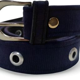 Women Casual, Evening, Formal, Party Blue Fabric Belt-image-100