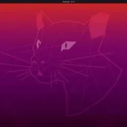 TechGuy4u Ubuntu Linux Desktop 20.10 20.10 64 bit image 2