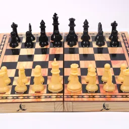 Wooden Folding Chess Set with Plastic Chess Pieces 30 cm Chess Board-image-63