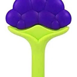 fusion fly Fruit Shape Teether for Baby 3-12 Mths ,Baby Fruit Nibbler BPA Free Combo Pack Teether and Feeder image 2