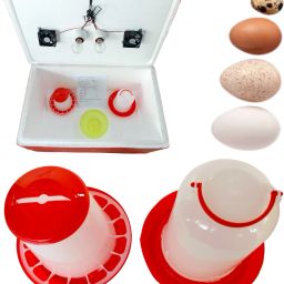 best EPS material Thermo Body egg incubator with 1.5 litr drinker 1.5 drinker Laboratory Incubator-picture-18