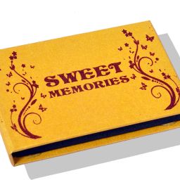 NSSTUDIOS Classical Pendrive box Data Card-13