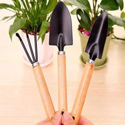 wens 3 Piece Mini Gardening Tool Set With Wood Handles-picture-46