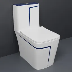 C/T02 Premium Quality White commode with Blue Finishing Line and Round Flush Button Western Commode-19