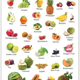 All in One Fruits Chart for Kids | Early Learning Poster for Nursery Children-image-53