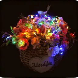 20 LEDs 1.98 m Multicolor Steady String Rice Lights-11