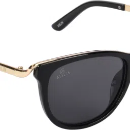 UV Protection Wayfarer, Oval Sunglasses (57)-image-46