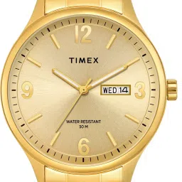 Champagne Round Dial Quartz Analog Watch - For Men TWEG18444-11