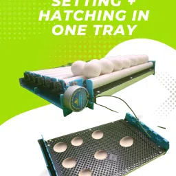 hatchpro 30 eggs fully automatic egg incubator machine for chicken , duck , desi eggs Egg Incubator image 3